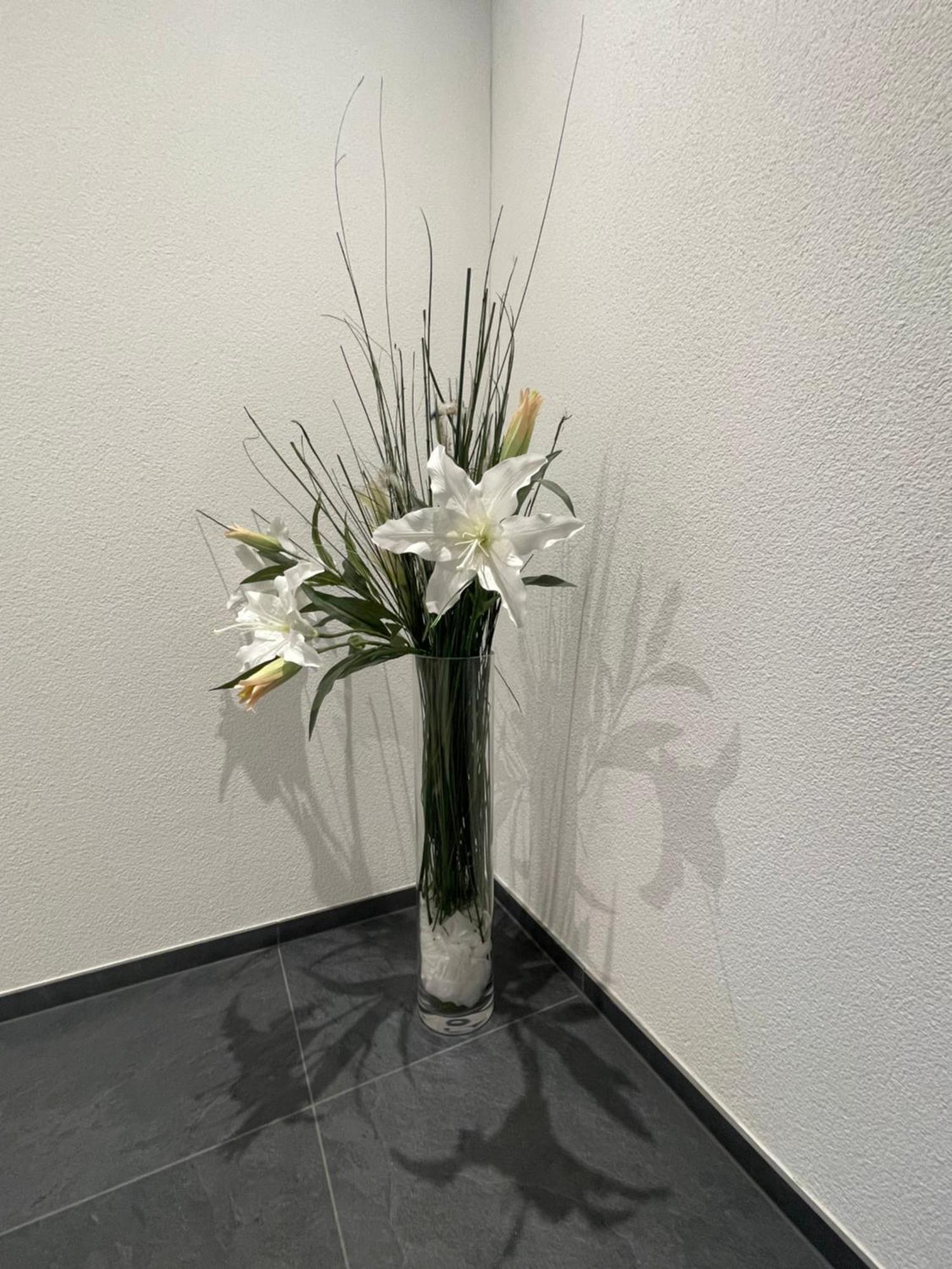 V.I.P Appartement Boettstein Luaran gambar